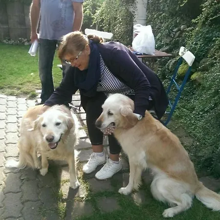 Ferienbungalow Auf Gartengrundstueck