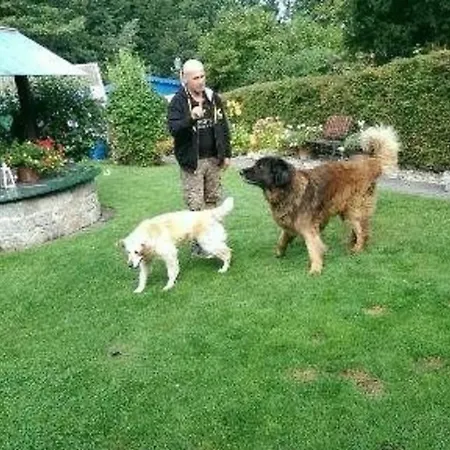 Ferienbungalow Auf Gartengrundstueck